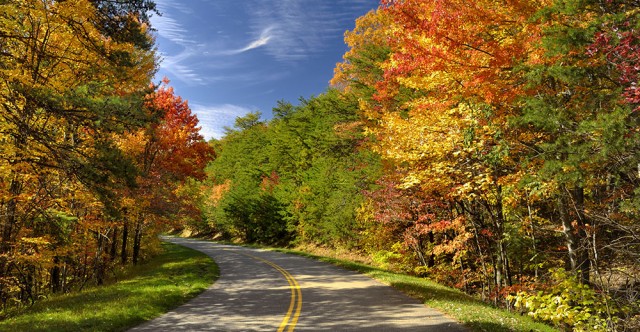 Beautiful fall colors. Photo 38498111 © Darrell Young | Dreamstime.com